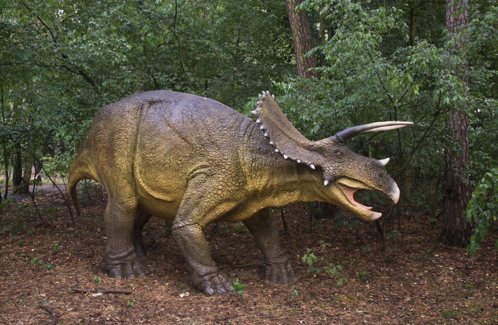 Bałtowski Kompleks Turystyczny — JuraPark Bałtów — zdjęcie 2