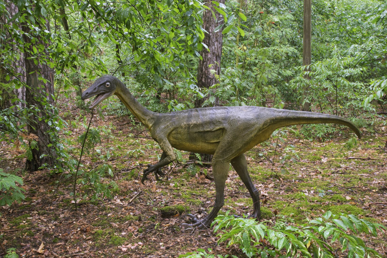 Bałtowski Kompleks Turystyczny — JuraPark Bałtów — zdjęcie 3