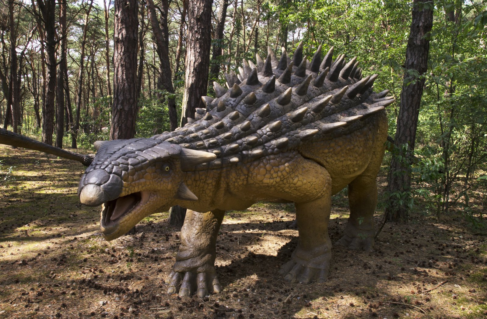 Bałtowski Kompleks Turystyczny — JuraPark Bałtów — zdjęcie 4