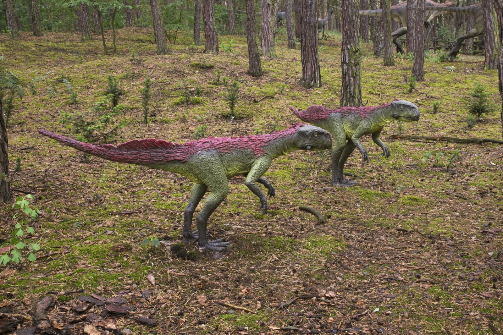 Bałtowski Kompleks Turystyczny — JuraPark Bałtów — zdjęcie 5