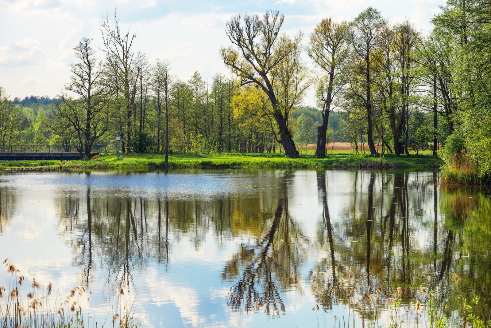 Białowieski Park Narodowy