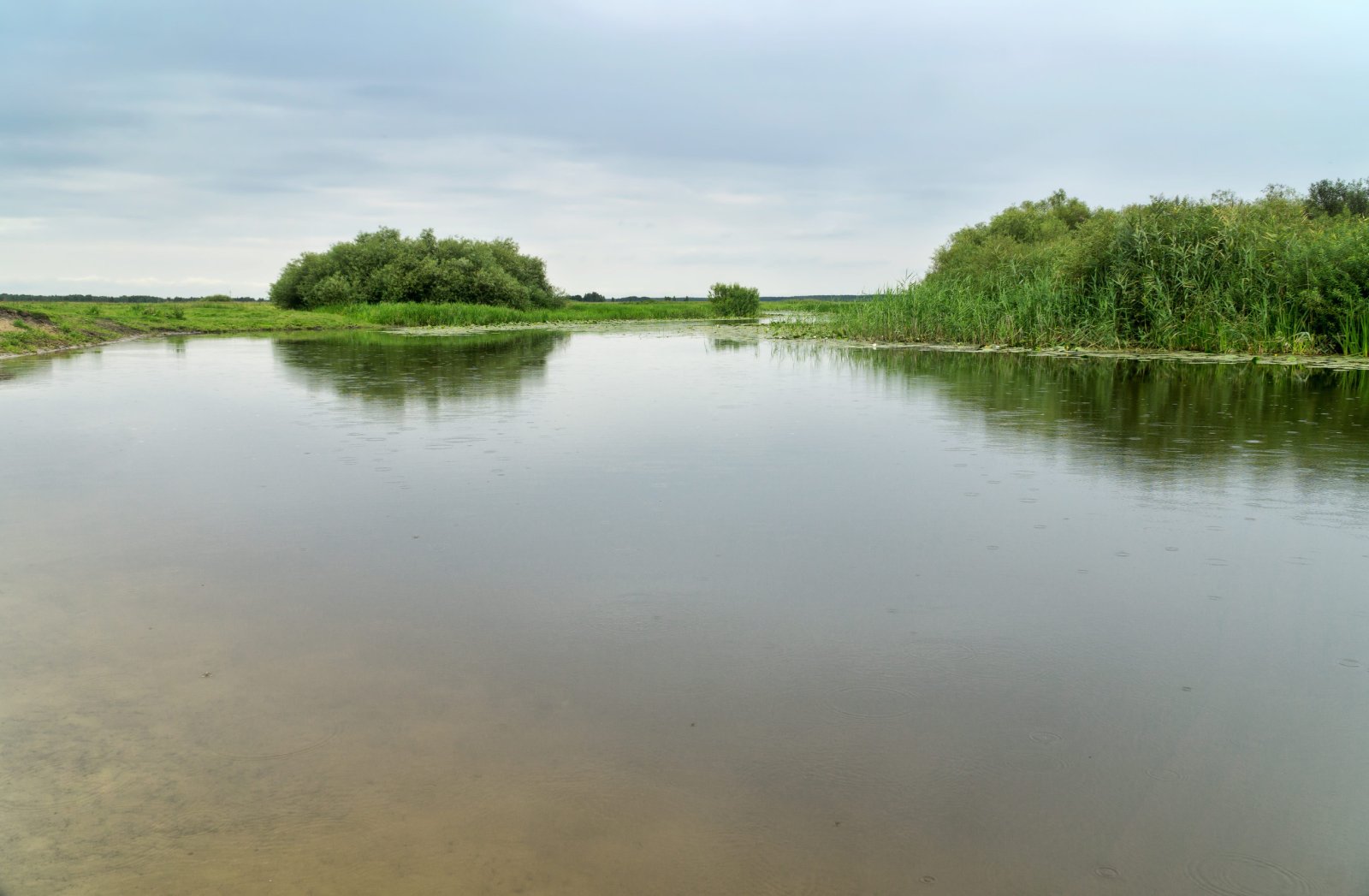 Biebrzański Park Narodowy — zdjęcie 5