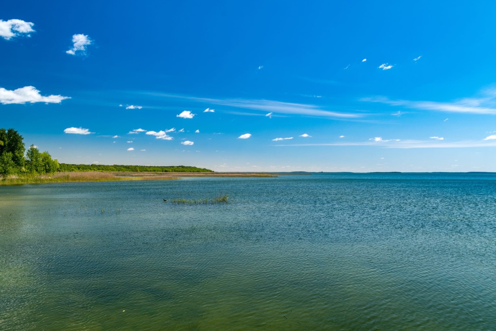 Jezioro Śniardwy — zdjęcie 2