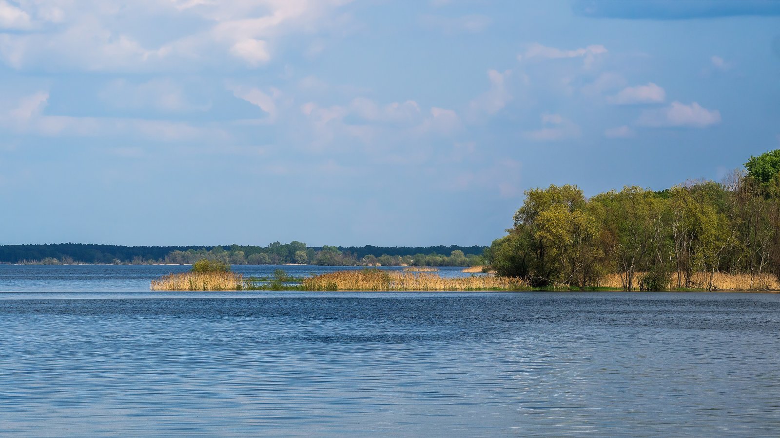 Jezioro Turawskie (Jezioro Duże) w Turawie — zdjęcie 2