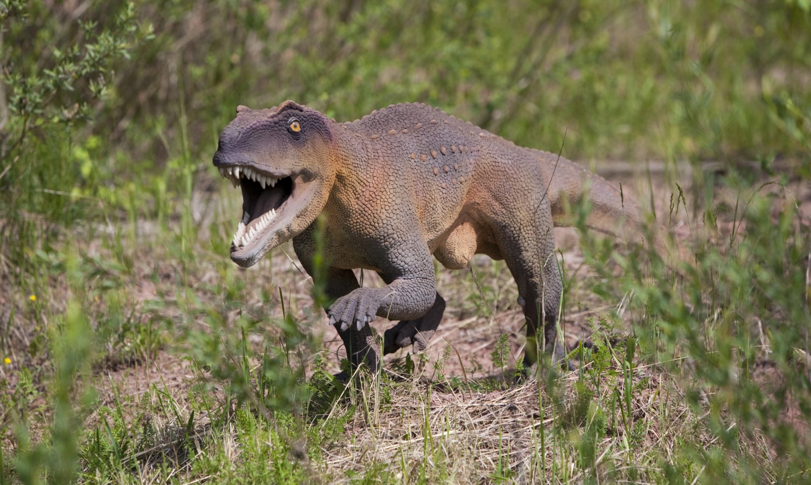 JuraPark Krasiejów — zdjęcie 3