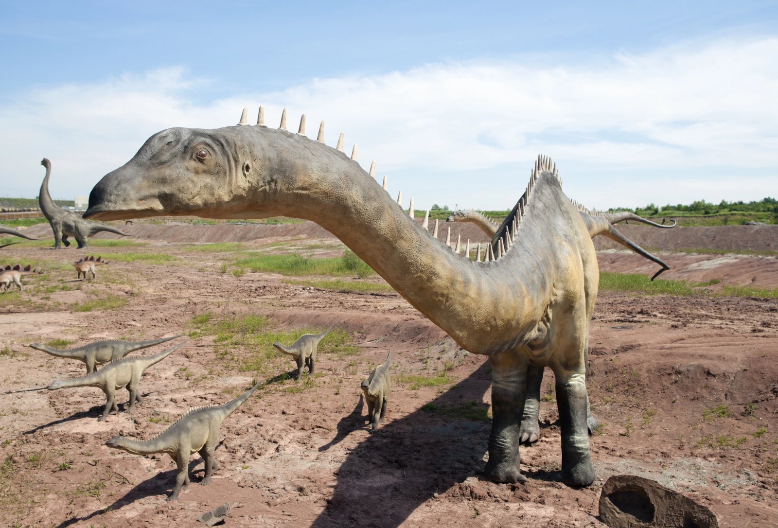 JuraPark Krasiejów — zdjęcie 4
