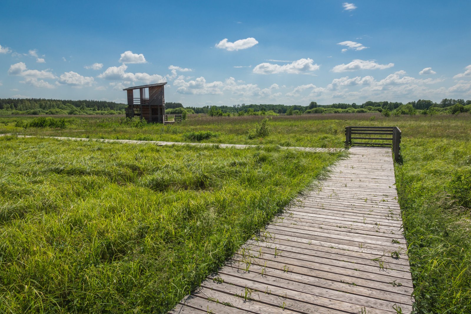 Kampinoski Park Narodowy — zdjęcie 4