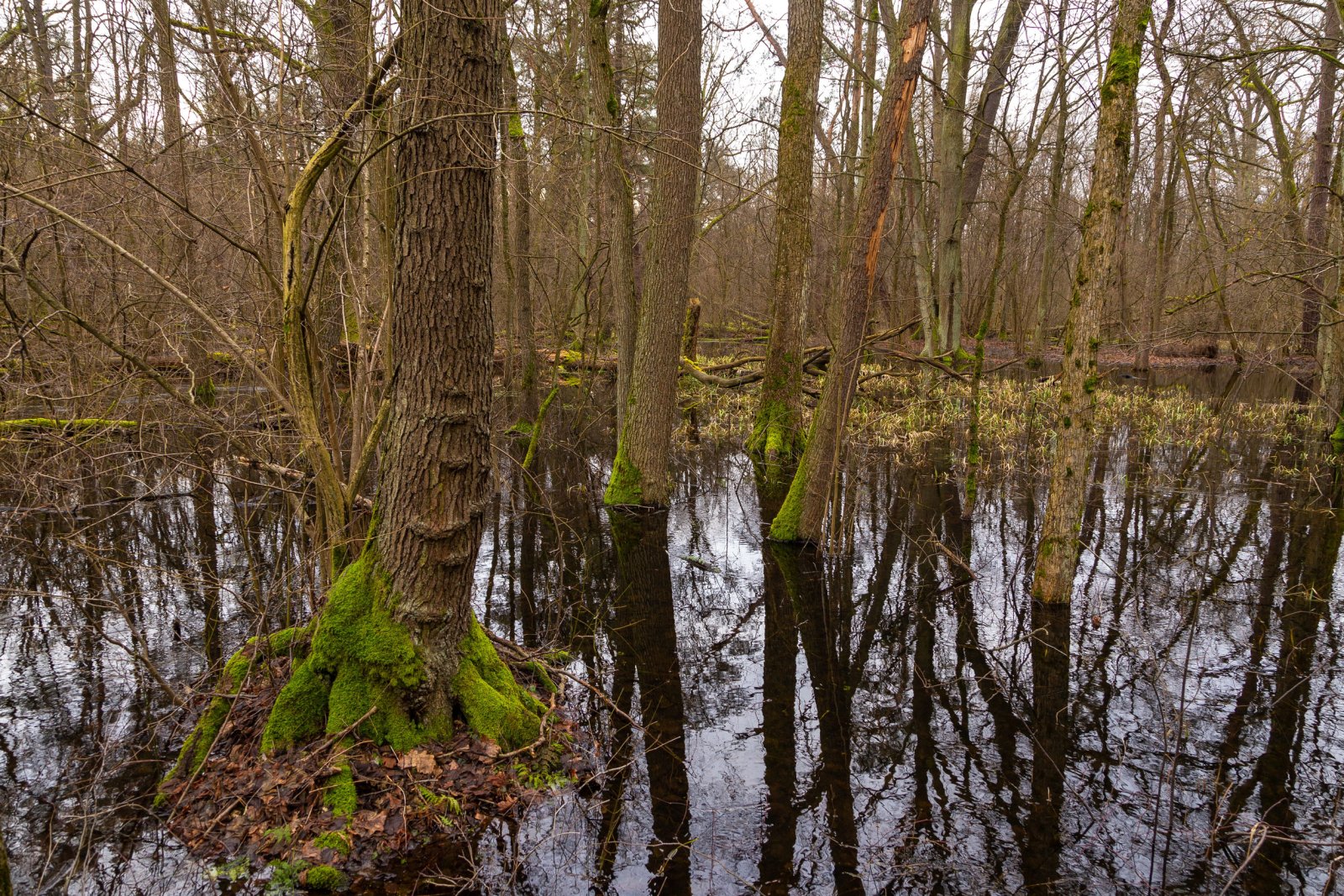 Kampinoski Park Narodowy — zdjęcie 5