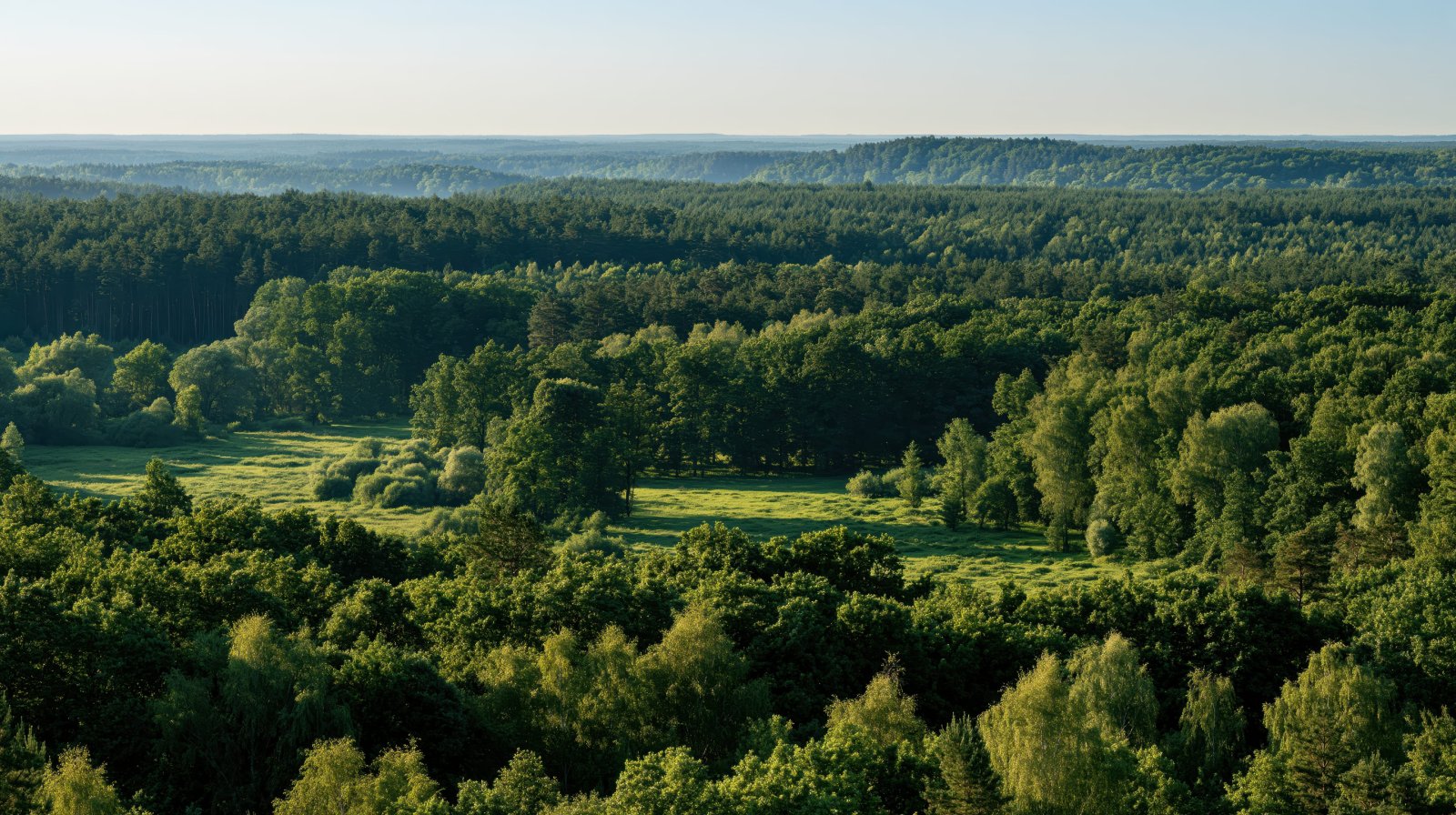 Kampinoski Park Narodowy