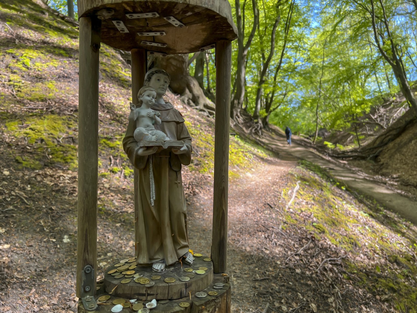 Lisi Jar w Jastrzębiej Górze — zdjęcie 4