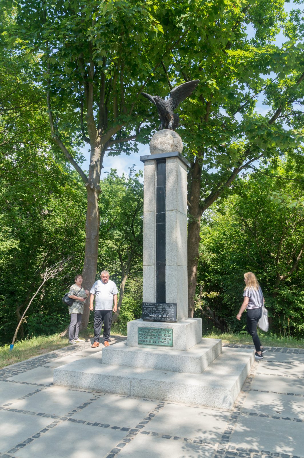 Lisi Jar w Jastrzębiej Górze — zdjęcie 5