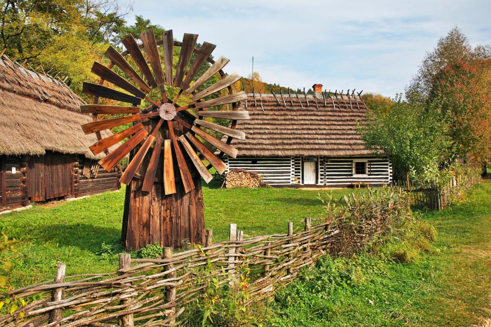 Sanok