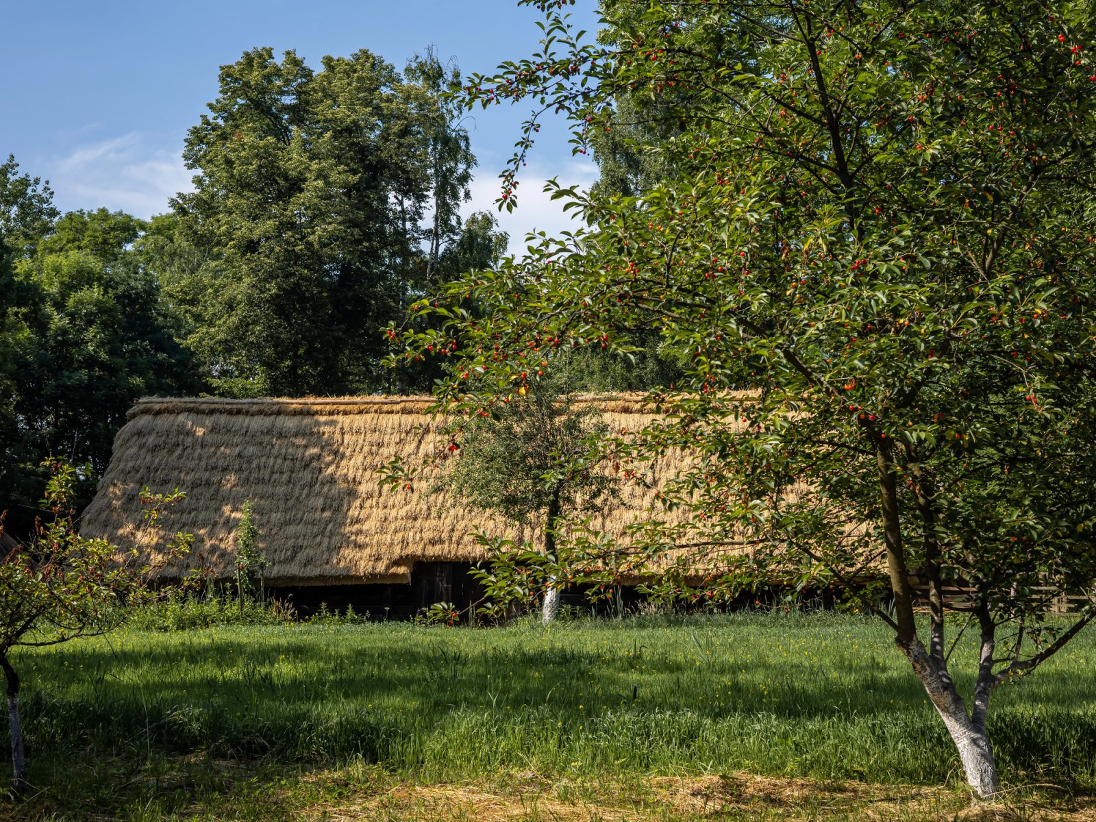 Muzeum Wsi Opolskiej w Opolu — zdjęcie 2