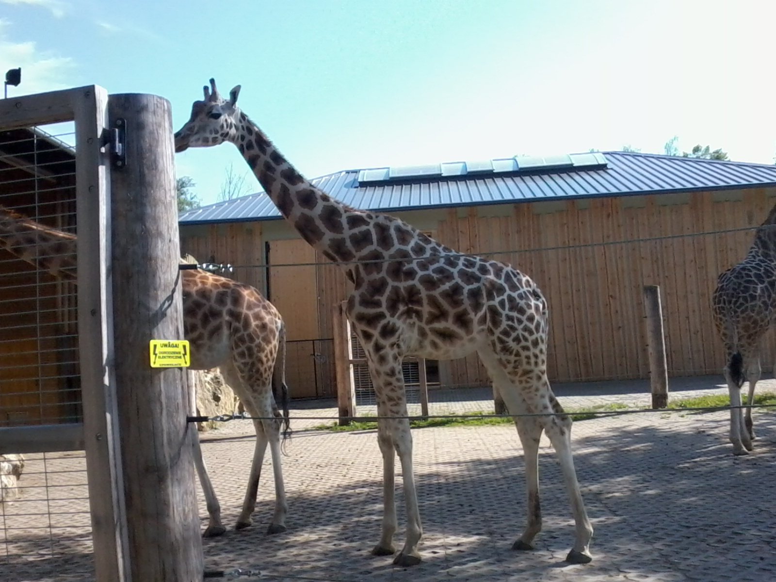 Ogród Zoologiczny w Opolu — zdjęcie 4