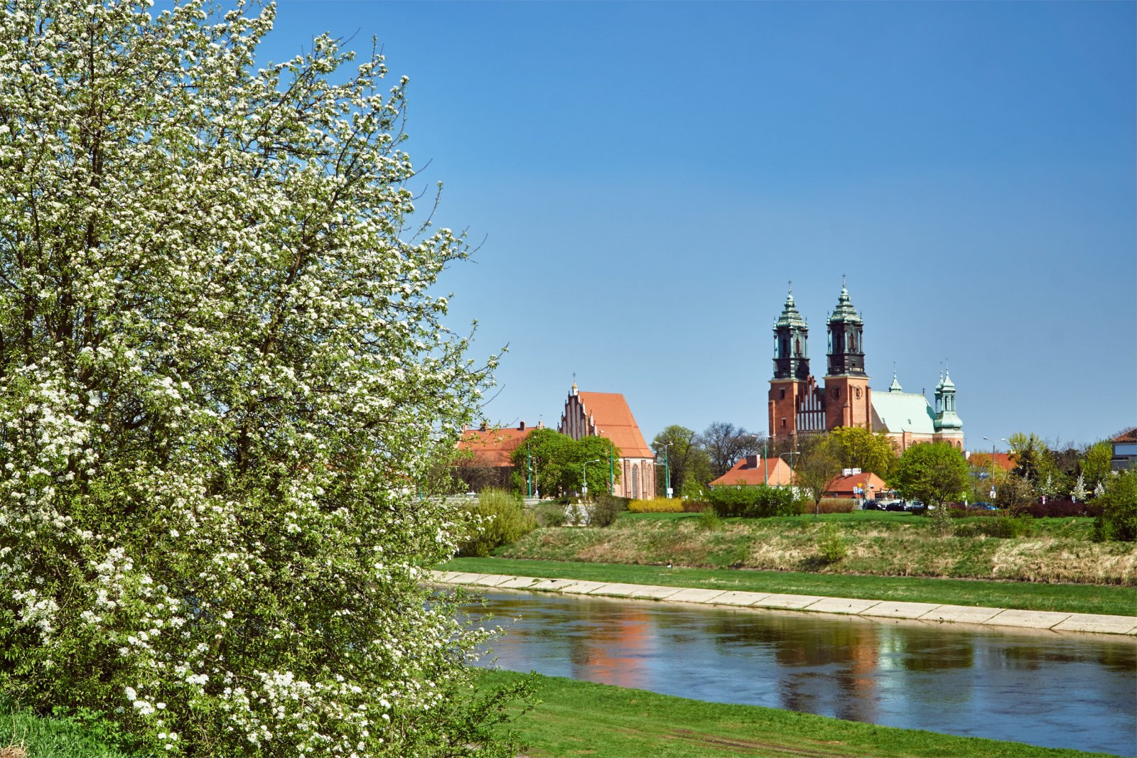 Ostrów Tumski w Poznaniu — zdjęcie 5