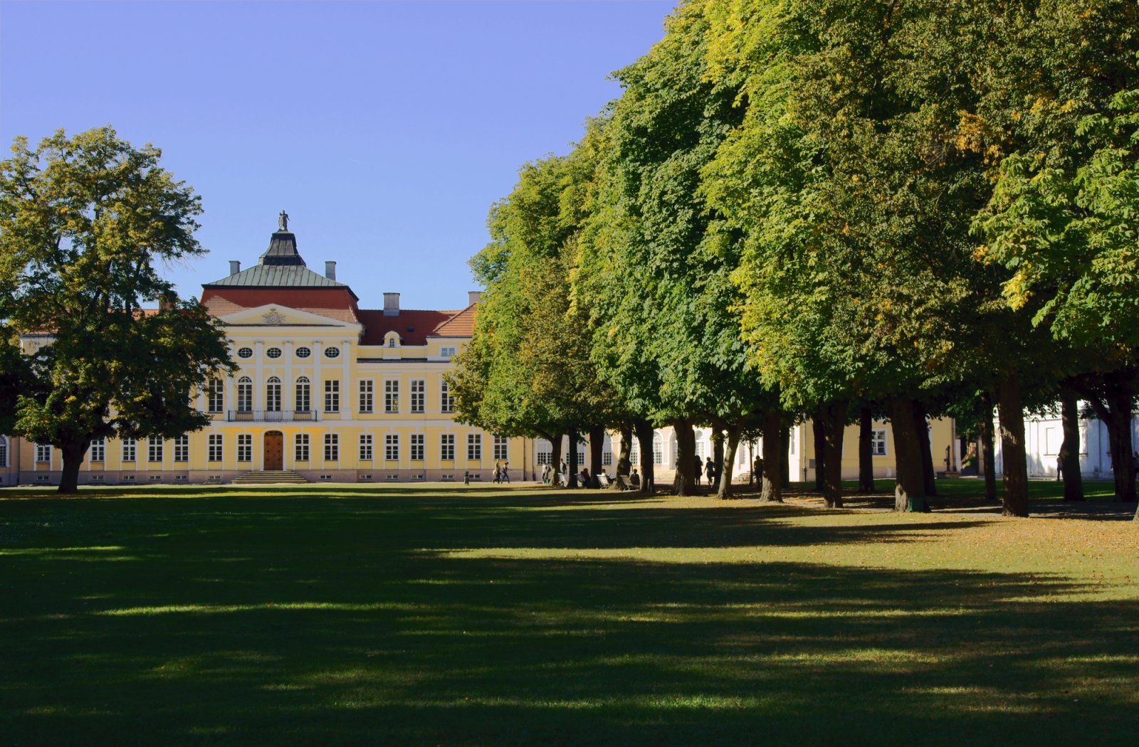 Pałac w Rogalinie — zdjęcie 5