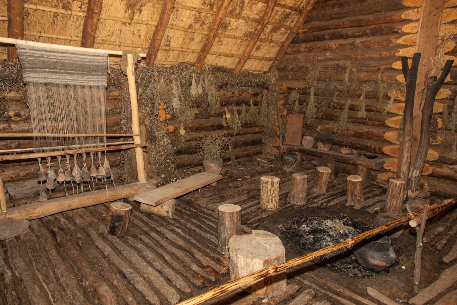 Rezerwat Archeologiczny w Biskupinie — zdjęcie 2