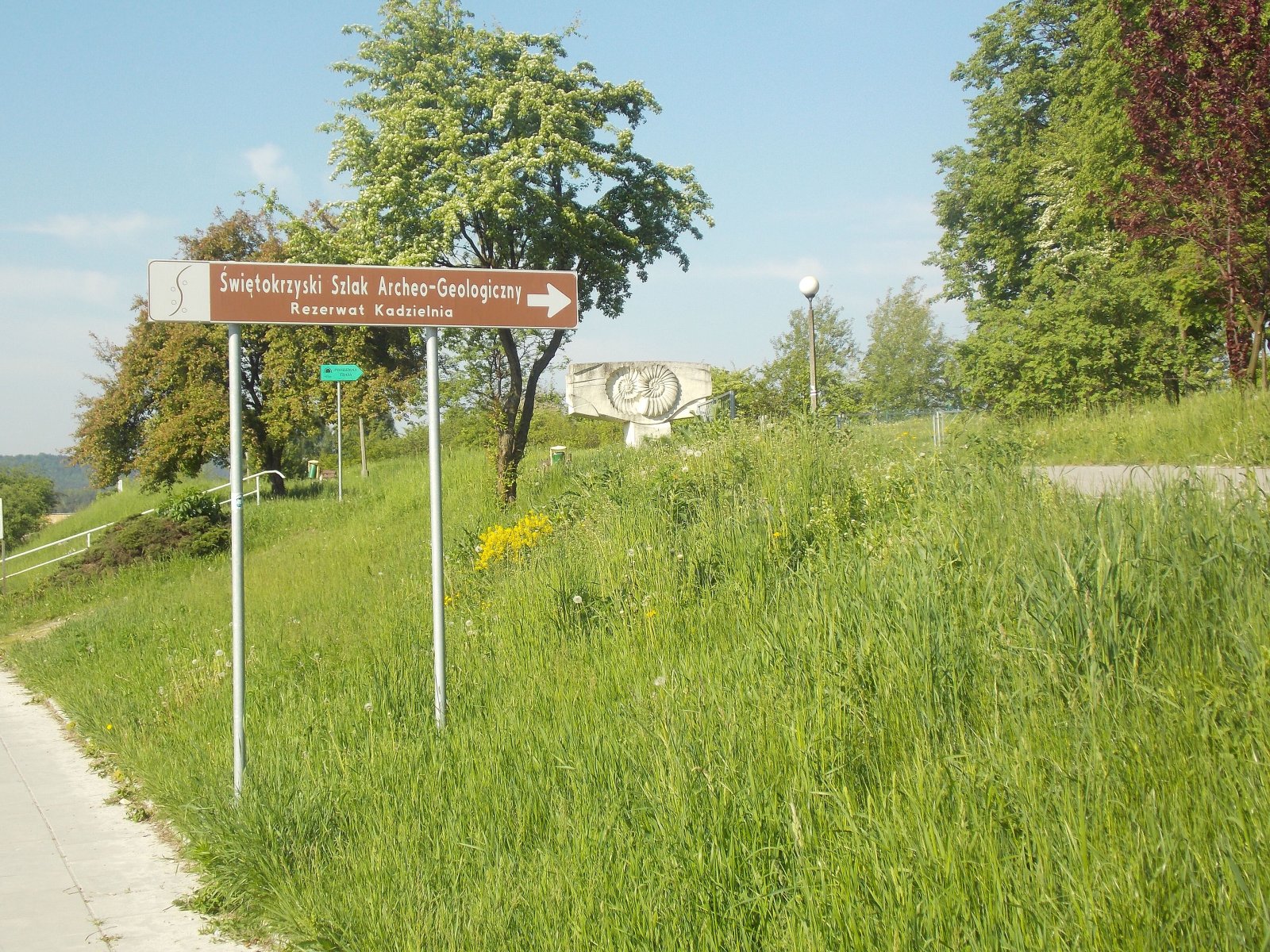 Rezerwat Kadzielnia w Kielcach