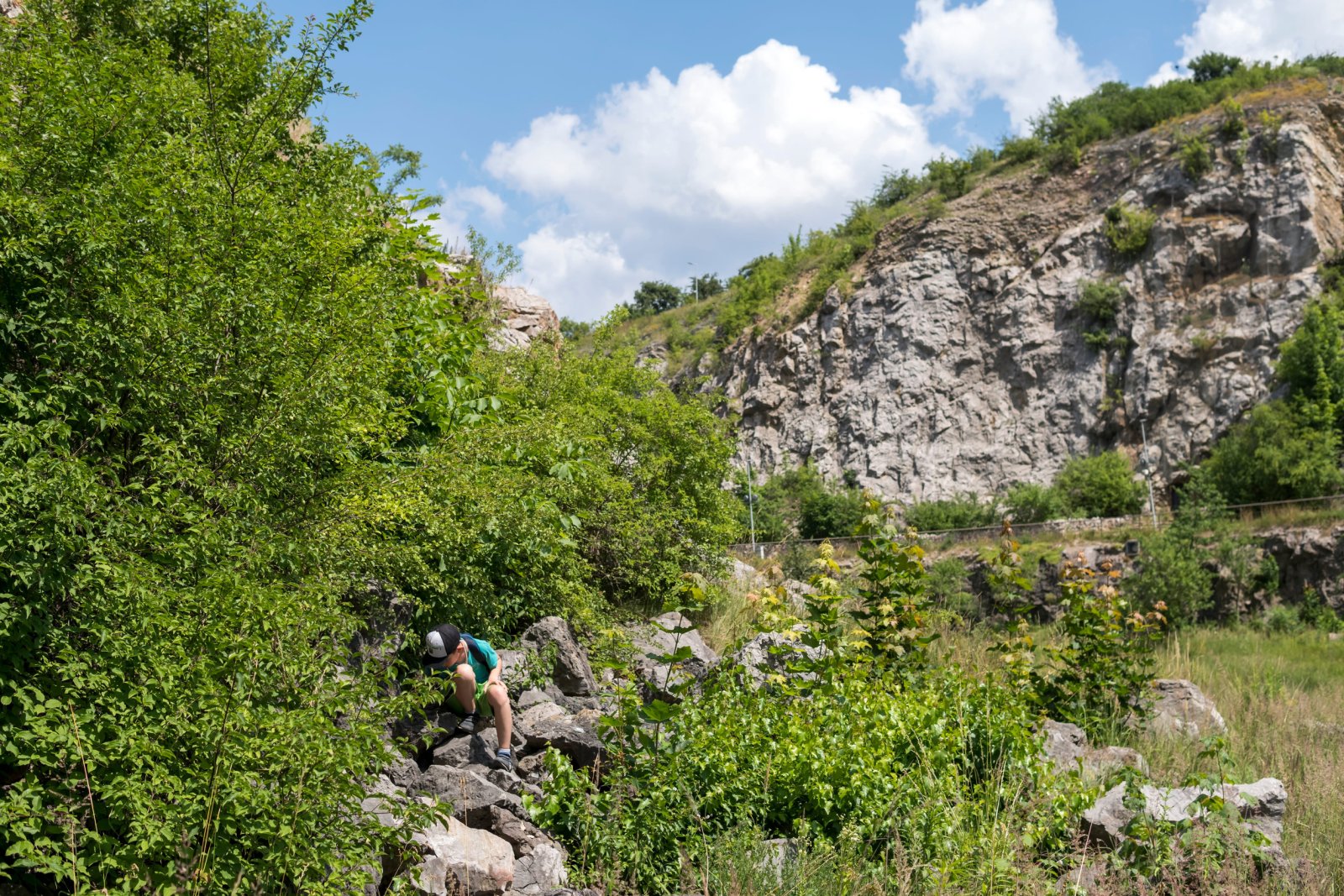 Rezerwat Kadzielnia w Kielcach — zdjęcie 4
