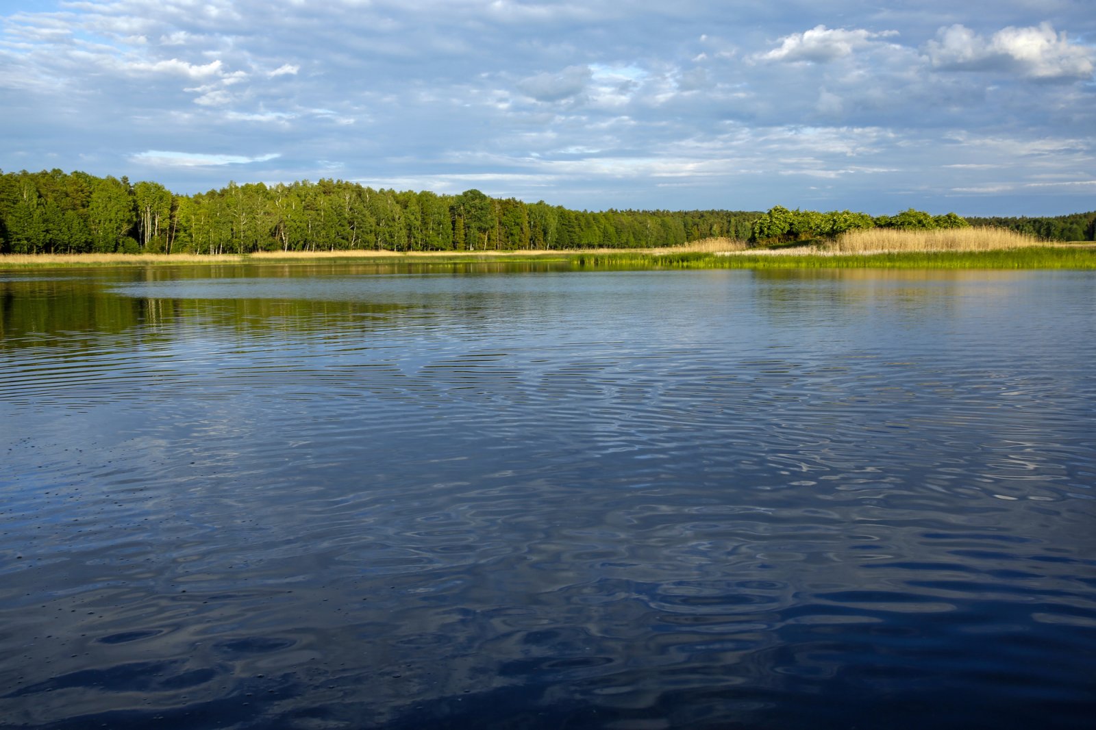Roztoczański Park Narodowy
