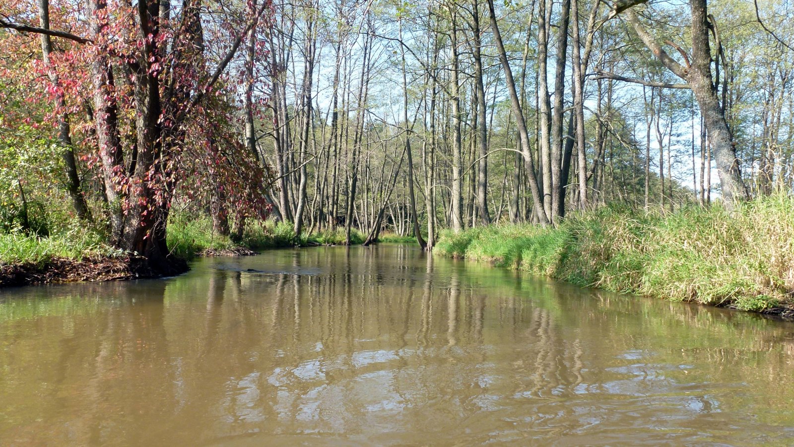 Roztoczański Park Narodowy — zdjęcie 2