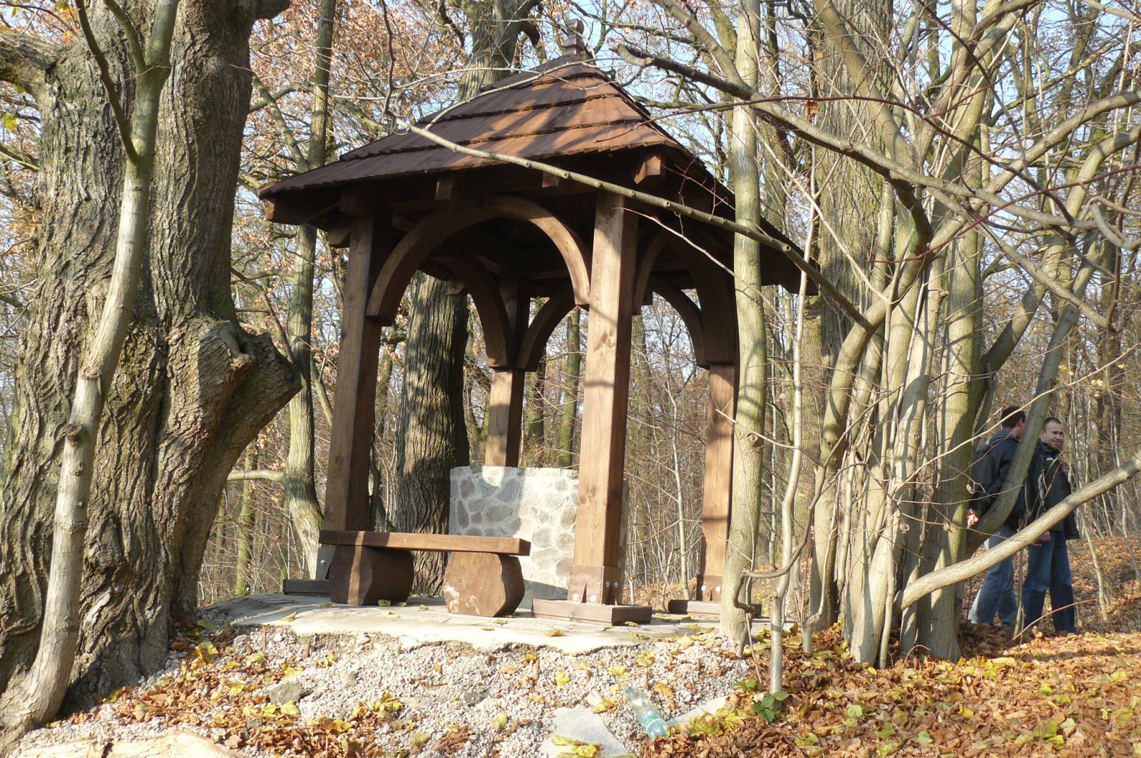 Wielkopolski Park Narodowy — zdjęcie 2