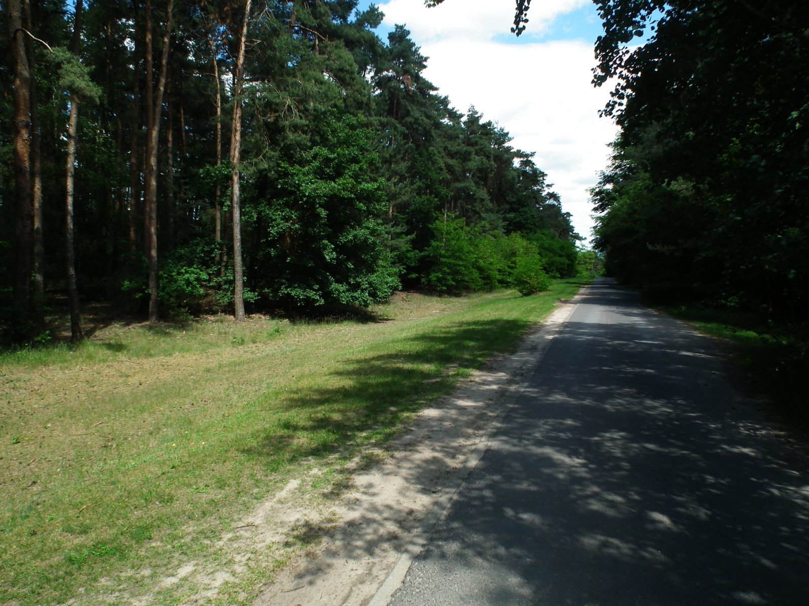 Wielkopolski Park Narodowy — zdjęcie 4