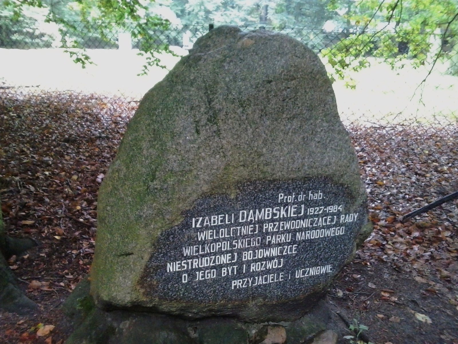 Wielkopolski Park Narodowy — zdjęcie 5