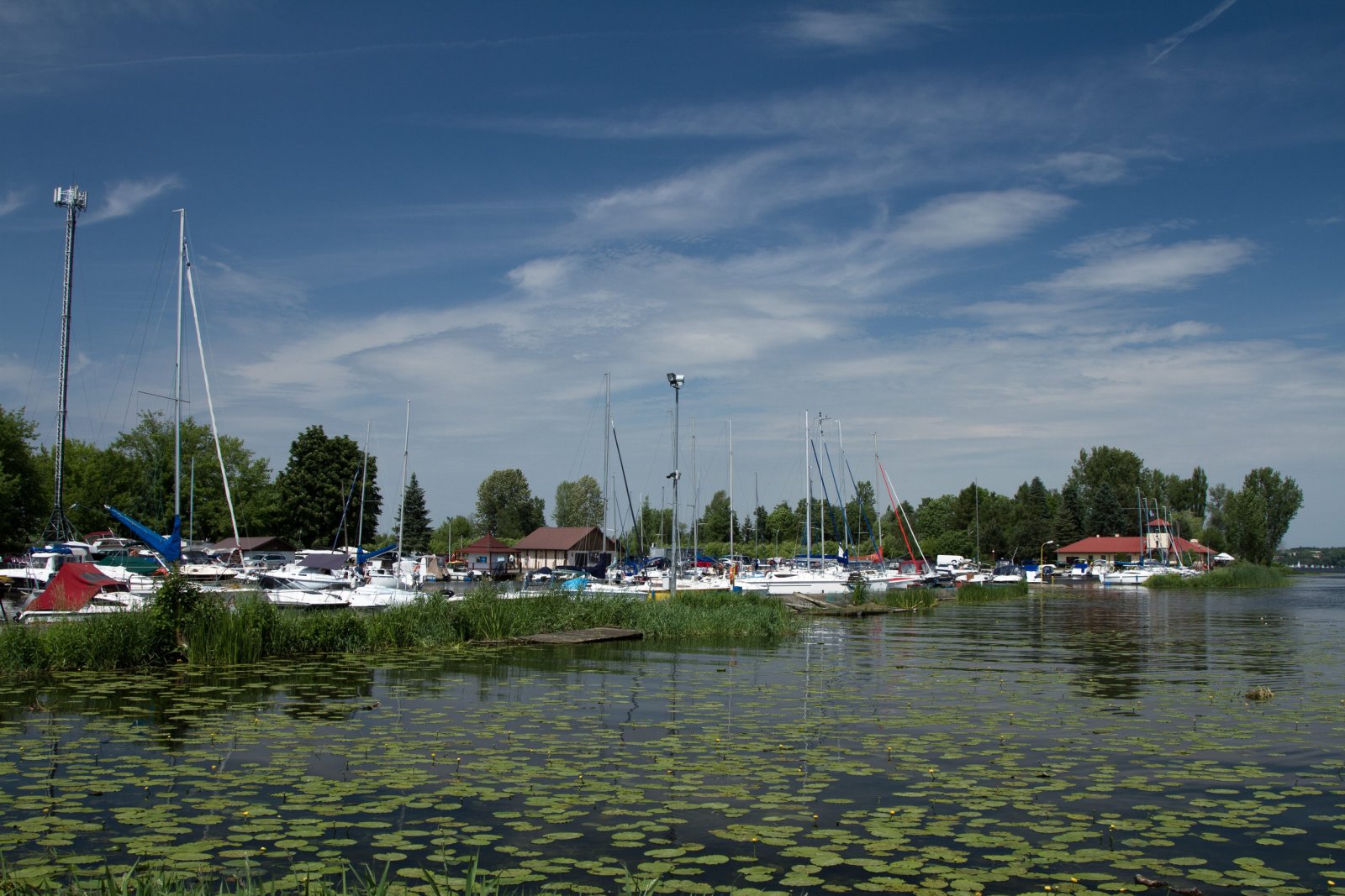 Zalew Zegrzyński (Jezioro Zegrzyńskie) — zdjęcie 3