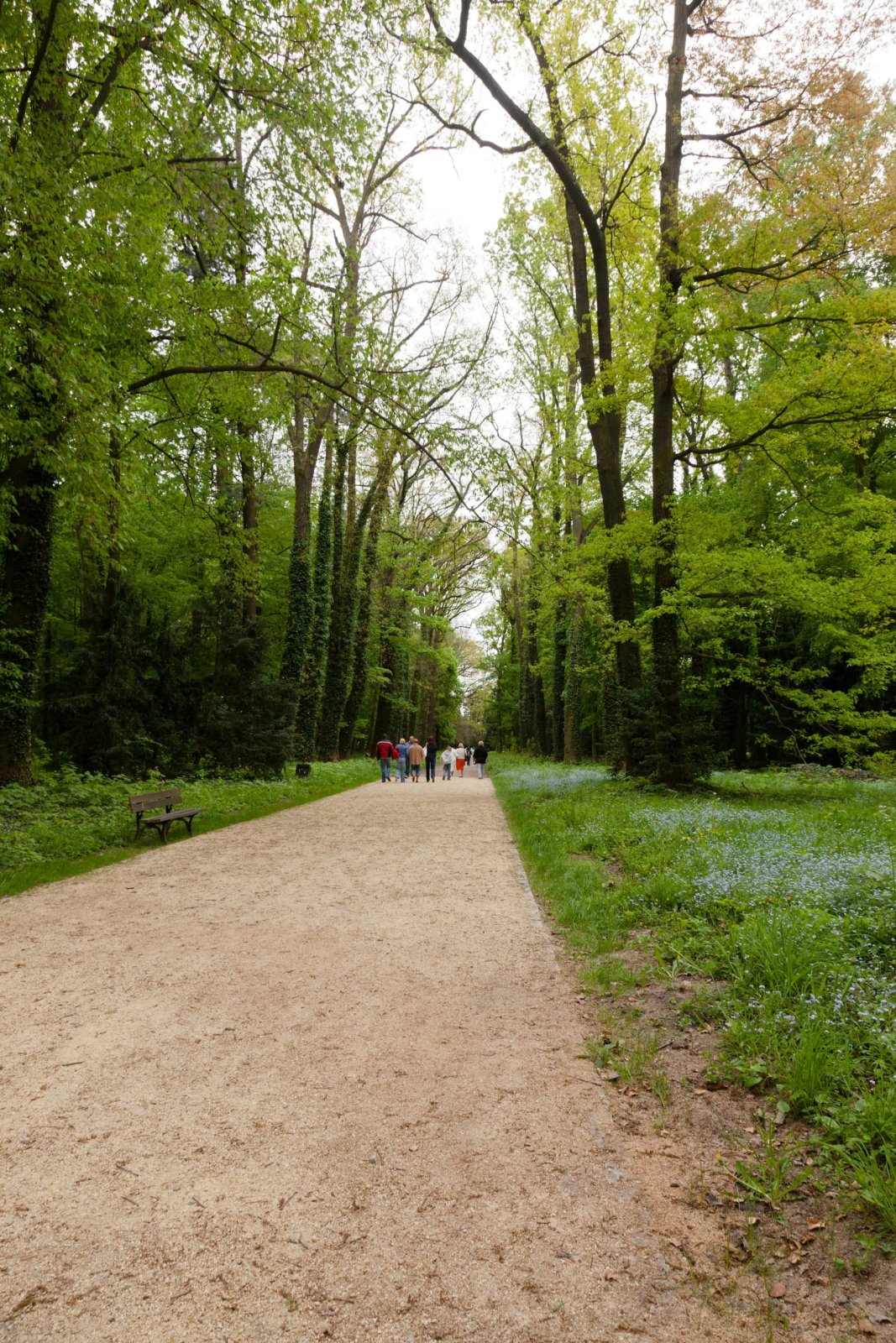 Zamek w Kórniku i Arboretum Kórnickie — zdjęcie 5