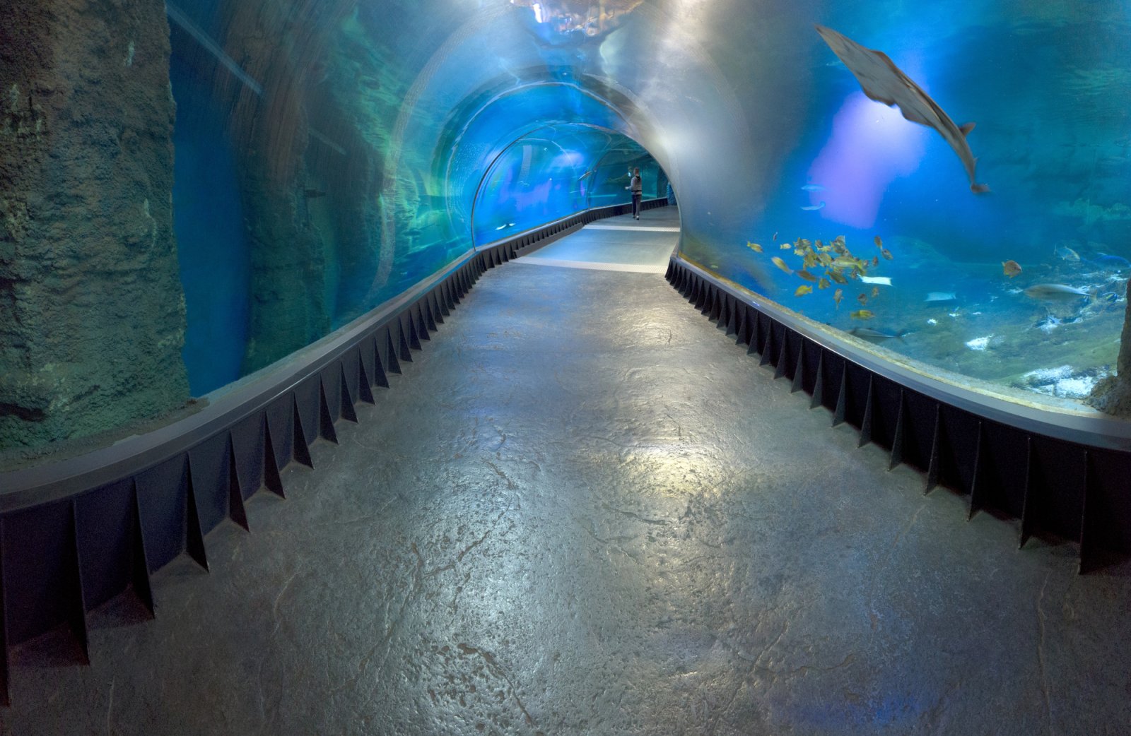 ZOO Wrocław i Afrykarium — zdjęcie 4