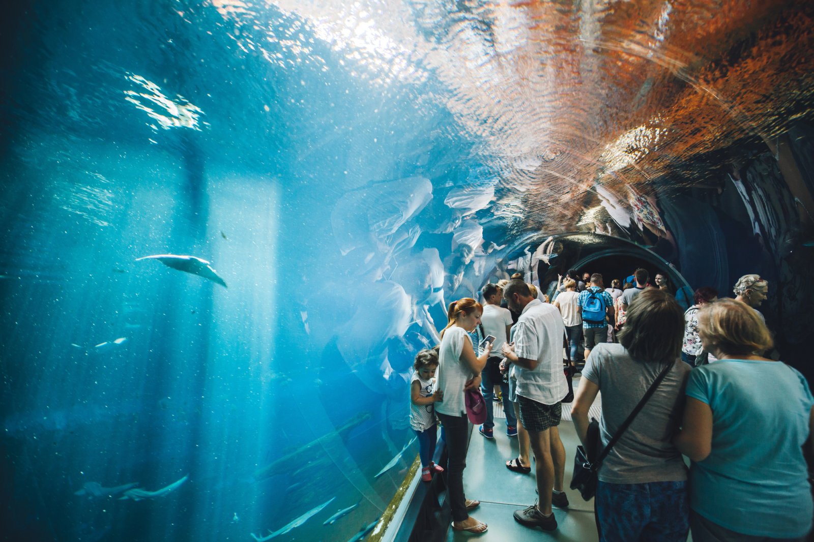 ZOO Wrocław i Afrykarium — zdjęcie 5